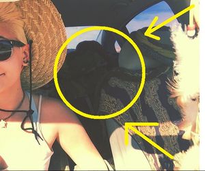 Michael Jackson ŻYJE?! To ZDJĘCIE z Instagrama Paris Jackson zszokowało fanów!