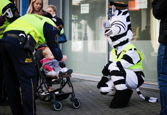 Zebra Basia rozdawała odblaski na chorzowskiej Wolce 