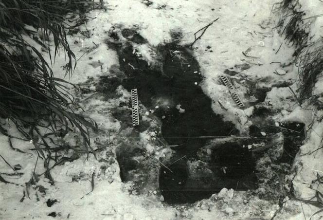 Wampir nie zabił, szukają mordercy bez twarzy