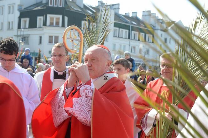 Święcenie palemek podczas pandemii 