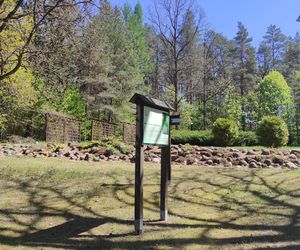 Arboretum w Kopnej Górze. Puszcza w pigułce