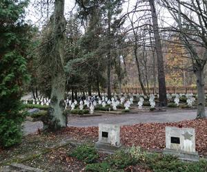 Młodzież z Grudziądza sprzątała na cmentarzu garnizonowym