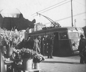 Warszawskie trolejbusy