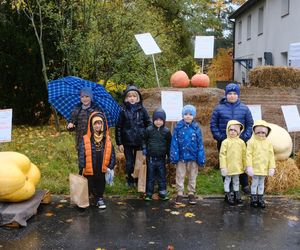 Ponad półtonowa dynia. Taką bestię wyhodowali w ogrodzie PAN w Powsinie