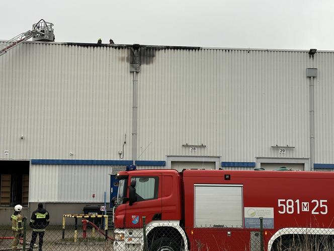 Pożar hali w Jankach! Wielka ewakuacja 300 osób, w akcji liczne zastępy straży
