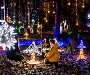 Magiczny Botaniczny: Ogród Botaniczny UW rozświetlony tysiącami światełek. Ile kosztuje bilet?