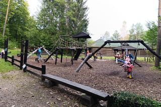 Zaczarowany ogród Alicji w Krainie Czarów i ścieżka spacerowa w lesie. Leśny Ogród Botaniczny Marszewo