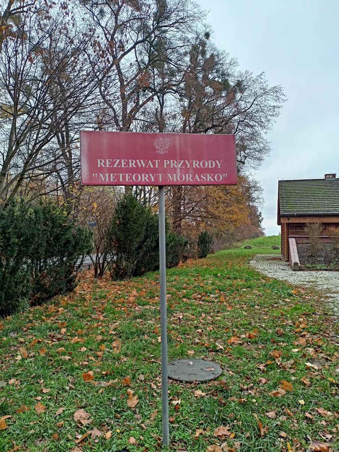 Rezerwat przyrody Meteoryt Morasko
