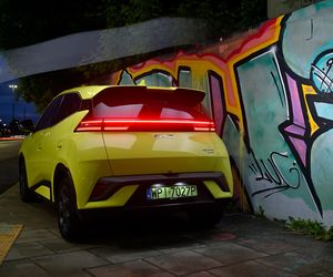 BYD DOLPHIN SURF