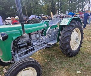 XXIII Międzynarodowy Festiwal Starych Ciągników i Maszyn Rolniczych im. Jerzego Samelczaka. Zdjęcia z parady i terenu festiwalu