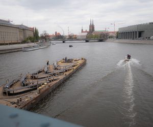 Rzeźba Nawa Oskara Zięty