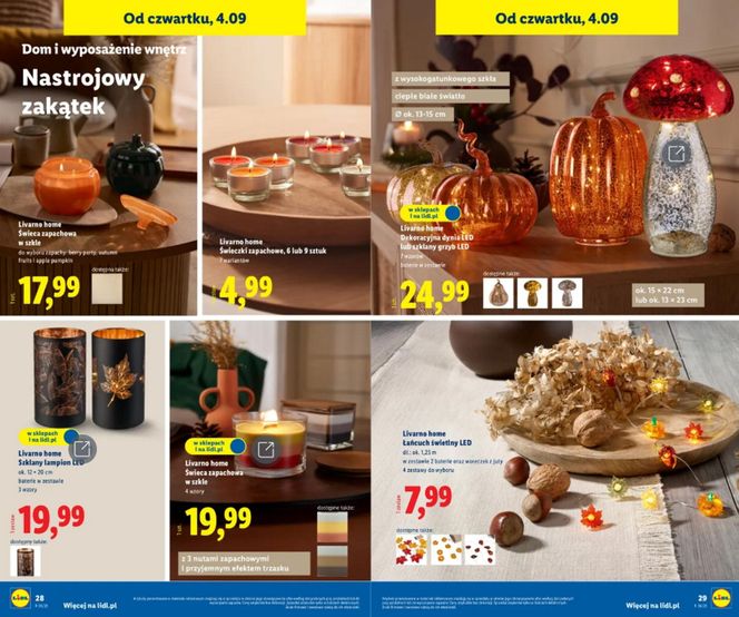 Jesienne promocje w Lidlu