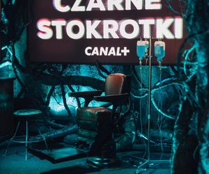 BNP Paribas Warsaw SerialCon