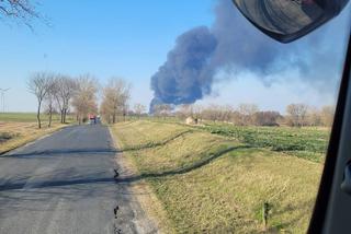 Pożar hali w Broniewicach koło Inowrocławia