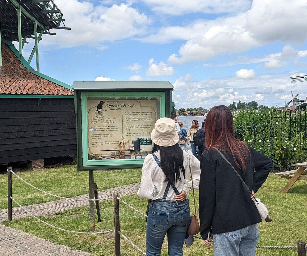 Koniec darmowego zwiedzania w Zaanse Schans. Władze mają dość nagannego zachowania turystów