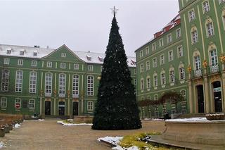 Kryzysowa choinka miejska w Szczecinie