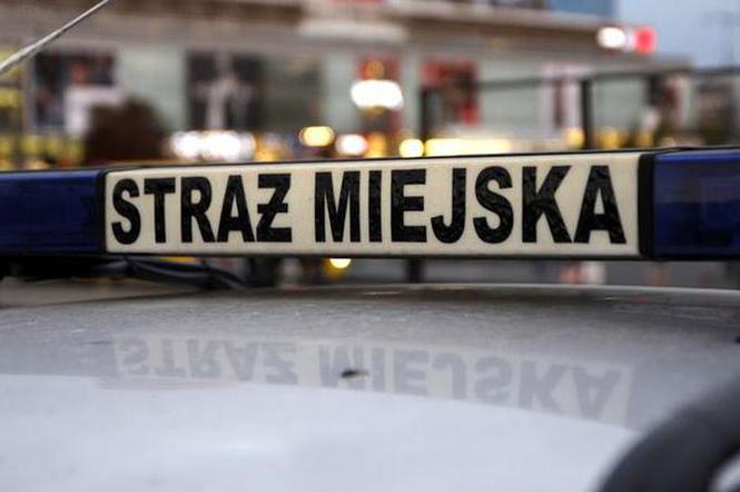 Koronawirus w Łodzi: W galeriach pojawiły się patrole straży miejskiej