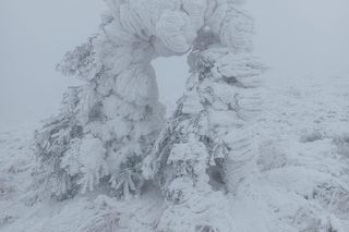 Zima zapanowała w Bieszczadach