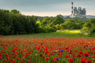 Tu żyje się najlepiej w Świetokrzyskiem. AI wskazała tę wieś 