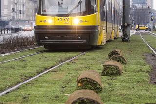 Tramwajarze zazielenili torowiska w centrum 