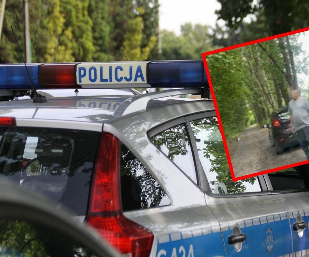 Porzucił koty w Zawierciu. Szukają ich teraz wolontariusze