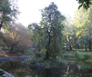 Ogród Saski w Lublinie