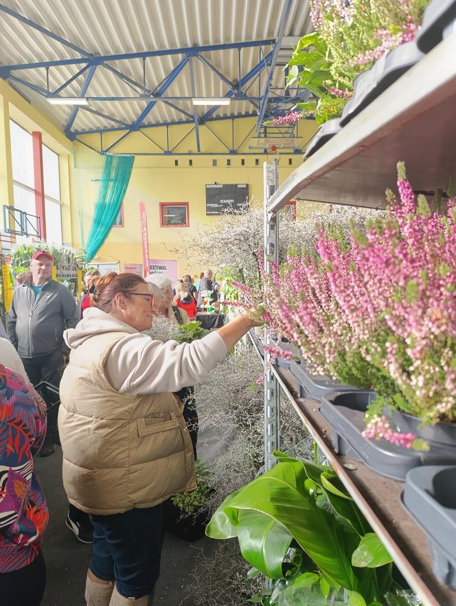 Festiwal Roślin we Władysławowie 12-13 października 2024