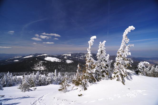 Te widoki zapierają dech w piersiach! Nie uwierzysz, że są tak blisko!