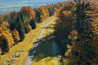 Jesień w Bieszczadach. Te zdjęcia robią wrażenie!