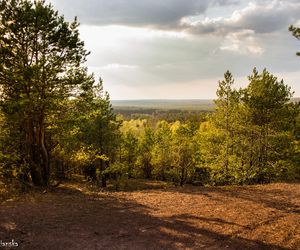 Czarniecka Góra - klimatyczna wieś w Świętokrzyskiem. Zaprasza turystów, kuracjuszy i grzybiarzy. Galeria zdjęć