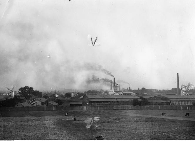 Borek Fałęcki. Panorama miasta