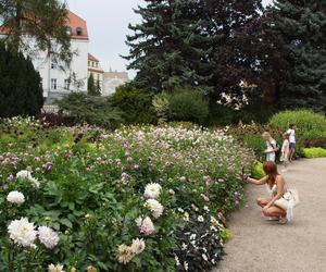 To jeden z najpiękniejszych ogrodów botanicznych w Polsce. Znajduje się na Dolnym Śląsku 