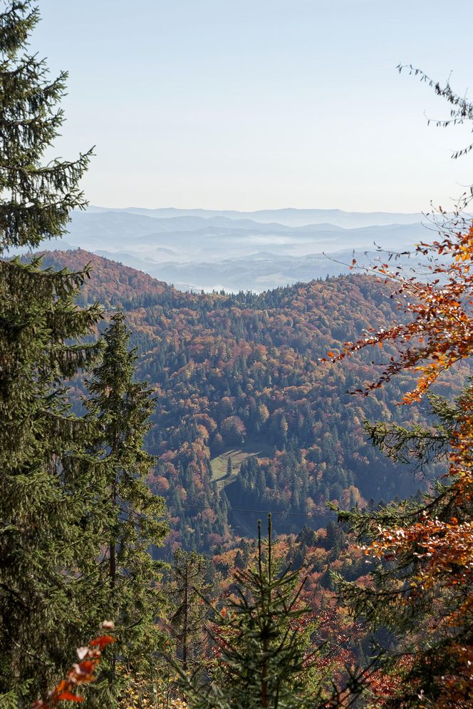 To miejsce w Małopolsce najpiękniej wygląda późną jesienią według AI. Ma status kultowego