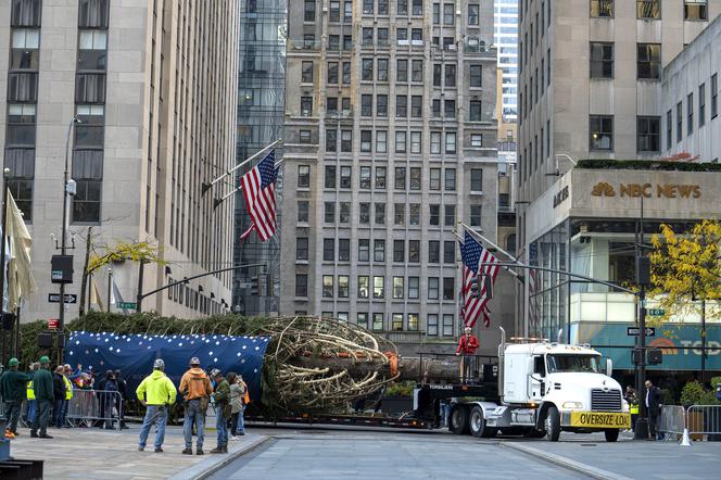 NYC ma już swoją choinkę