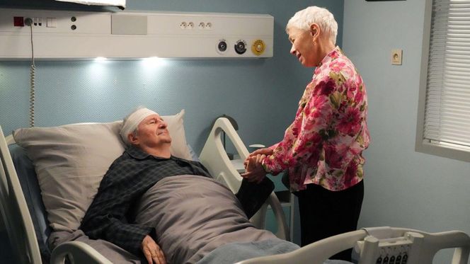 Barwy szczęścia odc. 3223. Krystyna Złota (Hanna Bieluszko), Krzysztof Jaworski (Jacek Kałucki)