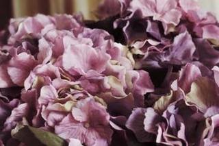 Jak udekorować grób na Wszytskich Świętych