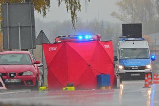 Zwłoki na drodze w Tarczynie. Policja szuka świadków