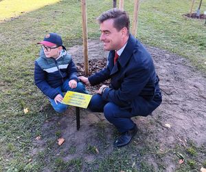 Danusia, Halinka, Linkus, Seniorita i Stasiu zapuszczają korzenie. Nowe nasadzenia w Lesznie