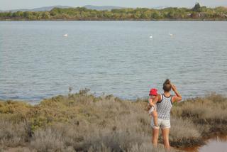 Karolina tropi flamingi w Sant Antioco