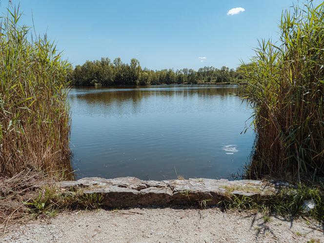 Kolejna inwestycja na stawie Balaton. Prace mają zostać wykonane do końca roku