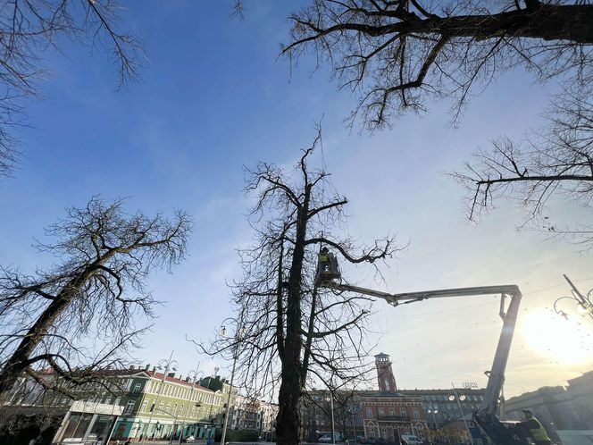 Świąteczne dekoracje, jarmark i miejski Sylwester. Częstochowa szykuje się na świętowanie