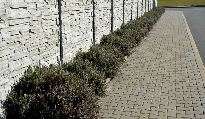 Betonowe ogrodzenie może być nowoczesne lub tradycyjne