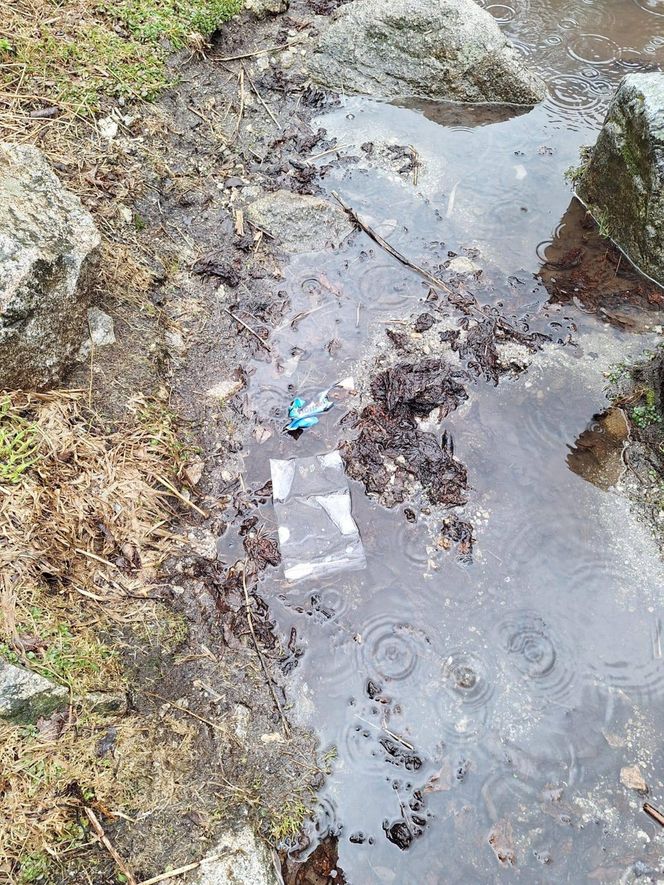 Morskie Oko zaśmiecone jak nigdy. To sprawka turystów. TPN opublikował zdjęcia.