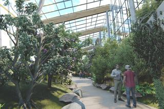 Powstanie Centrum Edukacji Ekologicznej w Sosnowcu