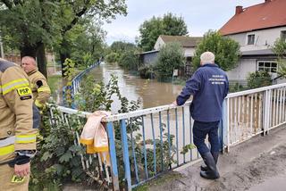 Alarm przeciwpowodziowy pod Wrocławiem