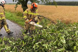 Burze i nawałnice nad Podkarpaciem. Strażacy interweniowali prawie 500 razy [ZDJĘCIA]