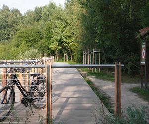 Park Leśny Tetmajera w Bronowicach