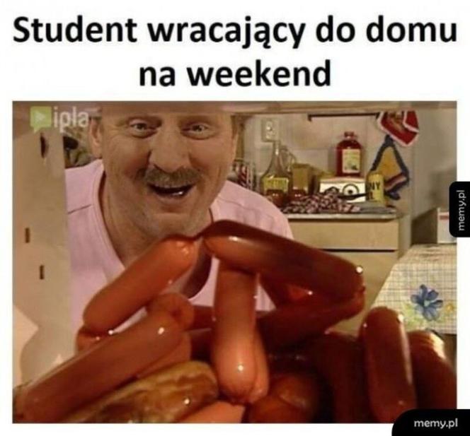 Początek roku akademickiego 2022/2023. Zobacz najlepsze memy o studiach i studentach!
