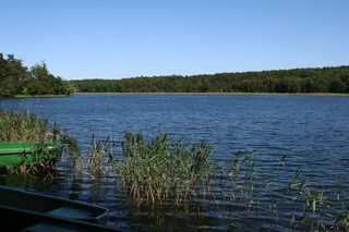 Te jeziora w kujawsko-pomorskim nie są często odwiedzane. Warto je odwiedzić [GALERIA]