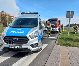 Domino na Konstytucji w Lesznie